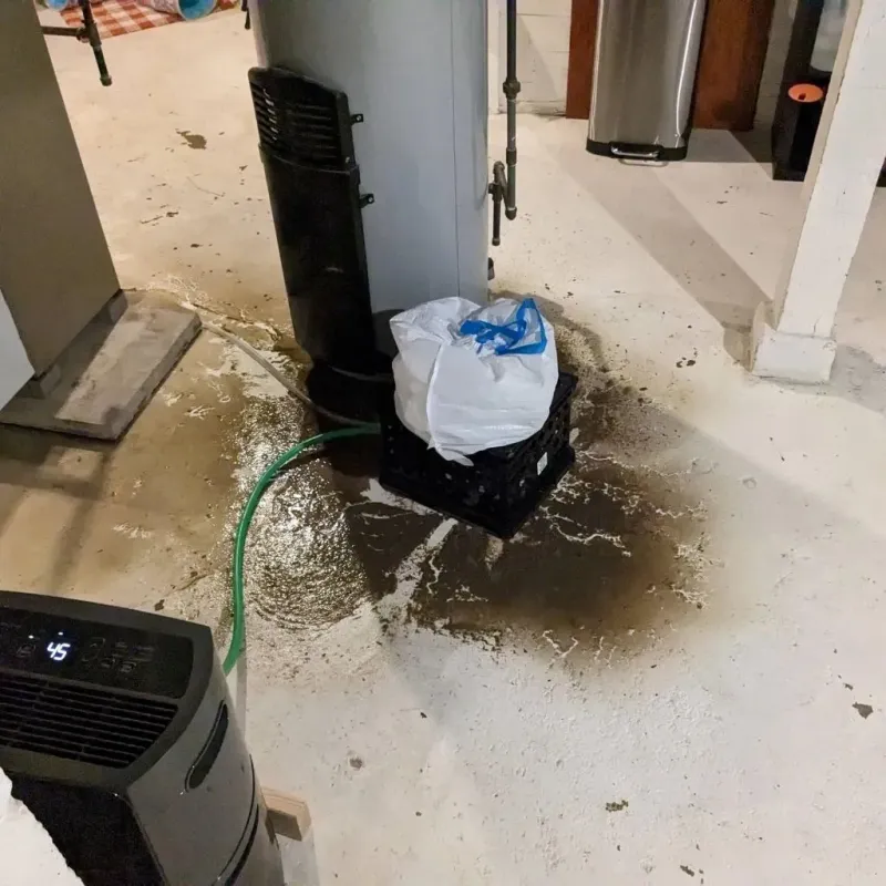 Sewage Backup Cleanup Service in Mountville, PA